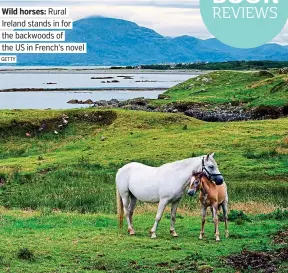  ?? GETTY. ?? Wild horses: Rural. Ireland stands in for. the backwoods of. the US in French’s novel.