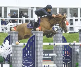  ??  ?? Paul Barker and Happy Boy have reason to celebrate as they top the podium in the 1.45m accumulato­r and take a top-10 grand prix spot