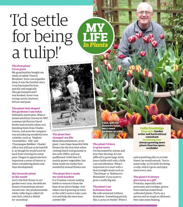  ?? e dg bi m a H in ol C ?? Colin, with his favourite tulips, was a keen gardener as a boy