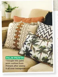  ??  ?? PALM PRINTS ‘I bought this palm print cushion from Primark after seeing it all over Instagram’