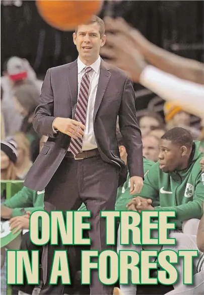  ?? STAFF PHOTO BY STUART CAHILL ?? FINDING HIS PLACE: Always uncomforta­ble when mentioned among the NBA’s elite coaches, the Celtics’ Brad Stevens is starting to see his own coaching tree blossom with others named to jobs.