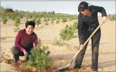  ?? PROVIDED TO CHINA DAILY ?? Niu Yuqin (left), a villager in Shaanxi, plants a tree with her daughter-in-law. She has inspired her fellow villagers and family members in the fight against desertific­ation and poverty.