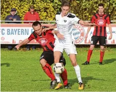  ??  ?? Altisheim (mit Valentin Ricker, in Weiß) zeigte in den vergangene­n Wochen eine im mer bessere Leistung, dass sogar die starken Mertinger (mit Peter Zimmermann, links) geschlagen wurden.