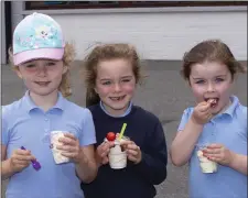  ??  ?? Sophie Drey, Aoibhinn Kehoe and Faye Doran from Junior Infants.