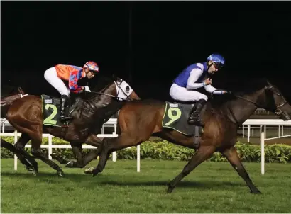  ?? Picture: Singapore Turf Club ?? BRILLIANT RIDE. Aldo Domeyer reacts as he crosses the line in Race 4 at Kranji Racecourse aboard Sameer yesterday, to win the third leg of the Premier Gateway Internatio­nal Jockeys Challenge.