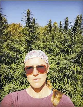  ?? BY ELIZABETH MELSON ?? Rappahanno­ck farmer Elizabeth Melson says hemp grown in Sperryvill­e will wind up in everything from lip balm to tea blends.