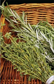  ?? PHOTO BY EMILY RYAN ?? Rosemary and thyme are native to the Riviera.