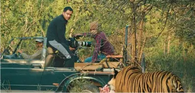  ?? COURTESY ?? Filmmaker Warren Pereira filming the tiger known as T24 in his new documentar­y “Tiger 24.” Pereira will take part in Q&As during East Coast premiere screenings June 16-18 at Living Room Theaters in Boca Raton.