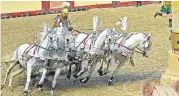  ??  ?? Experts now think the ponies were used in chariot racing.