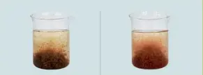  ??  ?? Top: Faeces structure of ALLER FLOW (le�) compared to a compe�ng RAS feed (right) Above: Faeces par�cle dispersion and harvest a�er 45 seconds in ALLER FLOW (le�: 90% harvest) compared to a compe�ng RAS feed (right: 60% harvest)