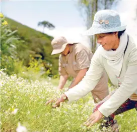  ?? FOTO ?? El 1,5 % de las 271.582 empresas creadas a septiembre eran del sector agropecuar­io, unas 4.073.