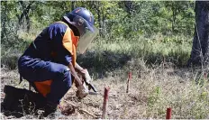  ??  ?? NICOLAU VASCO | EDIÇÕES NOVEMBRO Operadores de desminagem durante o trabalho no Zaire