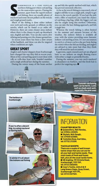 ??  ?? The harbour at Scarboroug­h If you’re after a decent ling, try using mackerel or herring baits In winter it’s all about the inshore cod fishing Summer cod fishing sport can be hectic. Lures such as shads work well, especially the pink ones