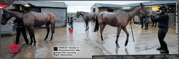  ??  ?? ®ÊTHREAT: Horses in Worcesters­hire after gallops this morning. Right, Newmarket