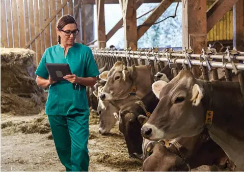  ??  ?? El empleo femenino es mayoritari­o en las plantillas de la industria veterinari­a