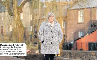  ??  ?? Disappoint­ed Pictured by the damaged willow tree is Amanda Blakeman from Alyth Community Council and Alyth Developmen­t Trust