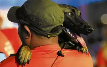  ??  ?? A search and rescue dog gets a boost from his owner, a member of the UP MMDAVangua­rd K9 Search and Rescue Volunteer Corps.