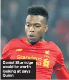  ??  ?? Daniel Sturridge would be worth looking at says Quinn