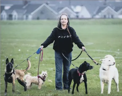  ?? PICTURE: PA. ?? BORDER BREEDS: Eimear Mathews of the Paws and Play dog walking service, in Newry, Northern Ireland, near the border with the Republic.