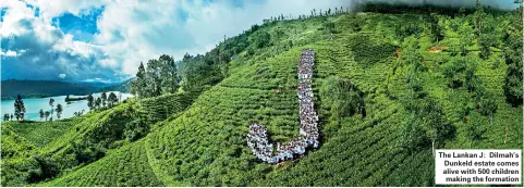  ??  ?? The Lankan J: Dilmah’s Dunkeld estate comes alive with 500 children making the formation