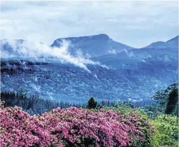  ?? Picture: MIKE GEYER ?? MISTY MOUNTAINS: A blanket of cloud settles on the mountains in Hogsback