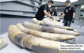  ??  ?? Thai customs officials display seized ivory