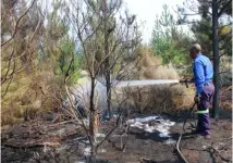  ??  ?? LEFT A firefighte­r helps to put out a veld fire.