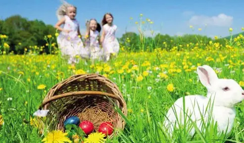  ?? ?? Simboli La Pasqua è rinascita e sono le uova le vere protagonis­te di questa festa. Di cioccolato o dipinte. Sotto la Sagra dell’uovo a Tredozio