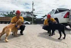  ?? BOMBEROS ?? Los perros de Bomberos ayudaron en la emergencia.