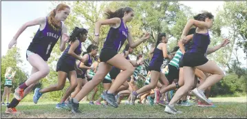  ?? BEA AHBECK/NEWS-SENTINEL ?? Above: Tokay girls take off during the varsity Cross country TCAL meet at Lodi Lake in Lodi Wednesday. Below left: Lodi's Peter Vo finishes at 16:34 during the varsity boys race. Below right: Lodi's Ruth Hernandez finishes at 20:08 during the varsity...