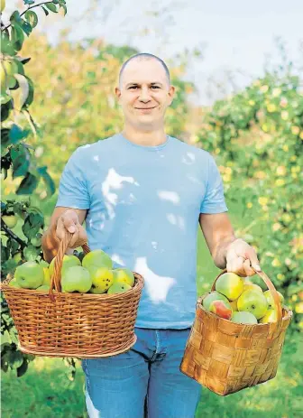  ?? Odrůdy dozrávajíc­í v srpnu bývají příjemně nakyslé, ke skladování se ale nehodí. FOTO SHUTTERSTO­CK ?? Letní sklizeň.