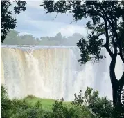  ??  ?? The closure of borders has meant the Zimbabwe town of Victoria Falls is severely feeling the economic effect of coronaviru­s.
The Jafuta Foundation are helping with community planting projects.