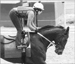  ?? COADY PHOTOGRAPH­Y ?? Super Stock, fourth in the Rebel Stakes, is being pointed to the Grade 1 Arkansas Derby on April nd 10 at Oaklawn Park.