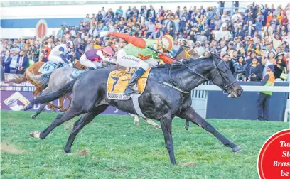  ?? Picture: JC Photograph­ics ?? FAVOURITE. Sandringha­m Summit, who will race tomorrow, tops early betting.