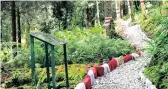  ??  ?? View of the Ranikhet fernery in Uttarakhan­d