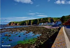  ??  ?? There is a wee village called Burnmouth just north of Berwick. It’s tucked right into the cliff and it’s just one street, with houses on one side and the sea on the other. When I stayed there I just didn’t want to go anywhere. I watched the colour of the sea change each day and admired the cliff behind me, stuffed with wildflower­s and butterflie­s.
Burnmouth