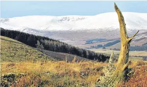  ??  ?? John Crichton, of Forfar, has sent in this photograph taken on Tulloch Hill, Angus, looking towards Glen Clova and the Grampians.