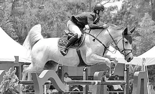  ?? foto: Yari Vargas. ?? SORPRENDE con su triunfo Fernando Martínez en el Gran Premio de Xalapa CSI 4*