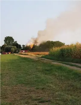  ?? FOTO FIEL COSEMANS ?? De vlammen en de rookpluim waren tot ver boven de maïsvelden te zien.