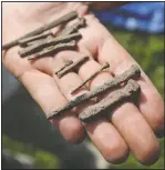  ??  ?? Archaeolog­ist Connie Arzigian of the University of Wisconsin-La Crosse shows off some of the nails uncovered less than 10 inches below the surface.