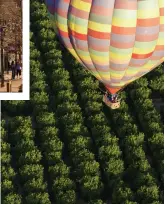  ??  ?? OLD TOWN TEMECULA, left; a hot air balloon floats over the Temecula vineyards, below.