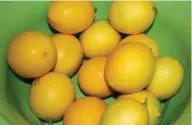  ?? (Photo by MSU Extension/Gary Bachman) ?? Meyer lemons, a cross between a lemon and an orange, are thin-skinned and sweet. They can be grown in Mississipp­i landscapes.