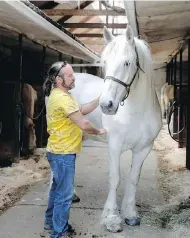  ??  ?? Luc Desparois, owner of Calèches Lucky Luc, dismissed complaints about any mistreatme­nt of horses.
