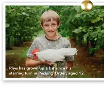  ??  ?? Rhys has grown up a bit since his starring turn in Pecking Order, aged 12.