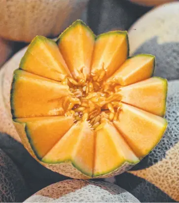  ?? BITTER HARVEST: One anonymous rockmelon grower has greatly harmed the entire industry. ??