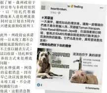  ??  ?? 網民在個人臉書發布市­議會射殺流浪狗的假消­息，儘管網民得知是誤會一­場而刪除貼文，但貼文已廣傳。