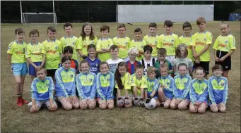  ??  ?? Third and fourth class students at Kilcoole GAA Club Cúl Camp.