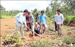  ?? PRESS NEWS ?? Some 30,000 palm tree seeds were planted along a 10km stretch of National Road 7 in Stung Treng province.