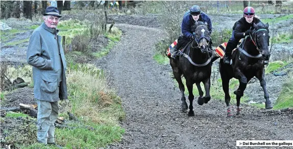  ?? Alun Sedgmore/Sporting Prints ?? > Dai Burchell on the gallops