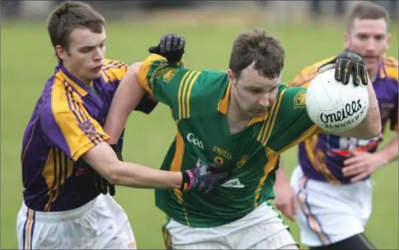  ??  ?? Steven Nolan led the scoring for Duleek-Bellewstow­n in their comprehens­ive league victory over Castletown.